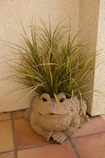 Fabricated Meadow Grass in a pot