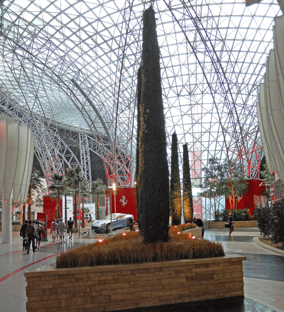 Italian Cypress Tree at Ferrari World Theme Park
