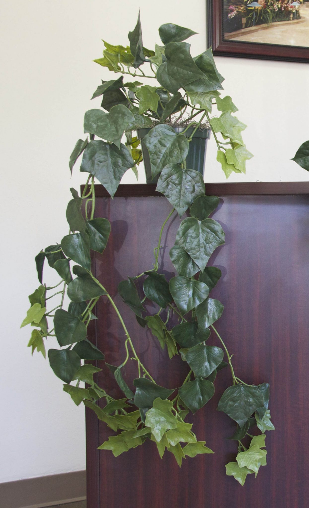 Artificial Ivy Plant Treescapes And Plantworks