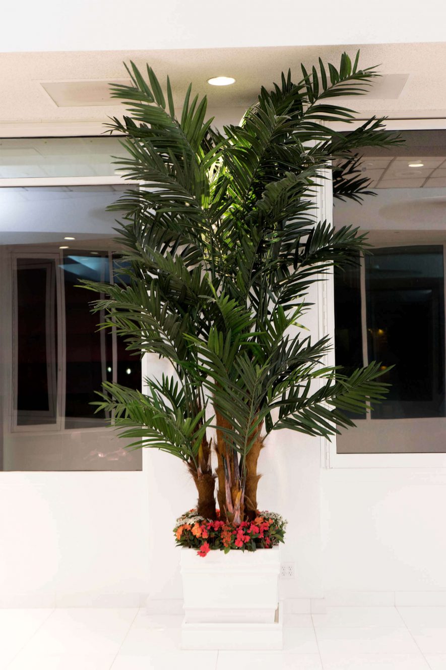 Replica Kentia Palm Tree inside the Tropicana