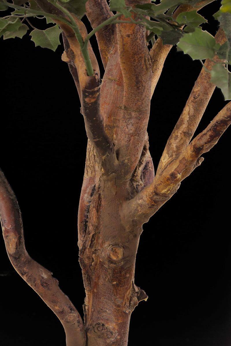 Live Oak Tree Trunk Bark Close Up Product Replica