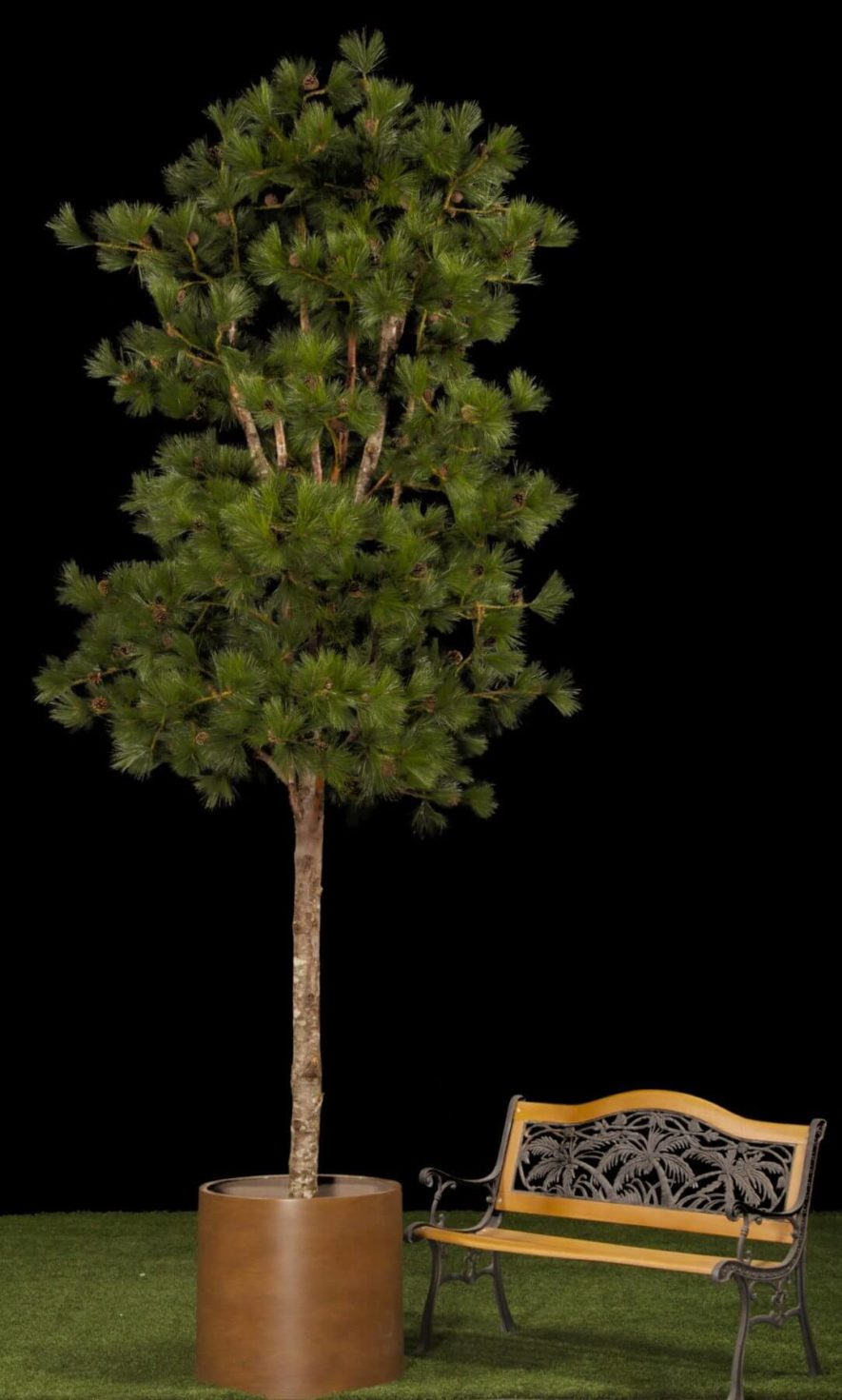 Replica Lodgepole Pine Tree