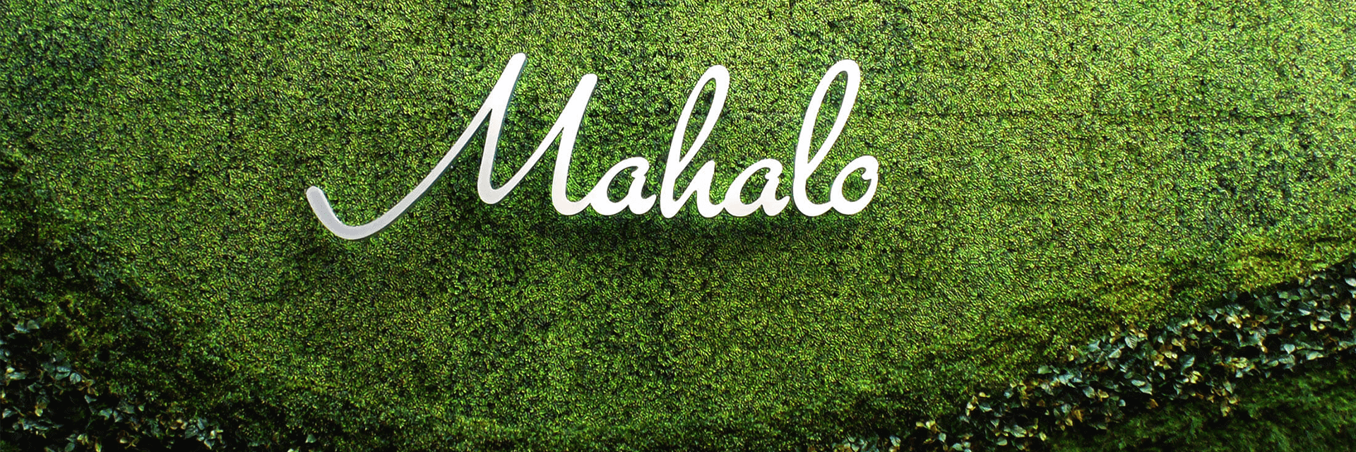 Mahalo green wall at the California Hotel & Casino
