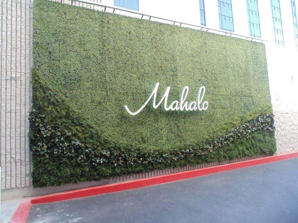 Wide angle view of the Mahalo green wall at the California Hotel & Casino