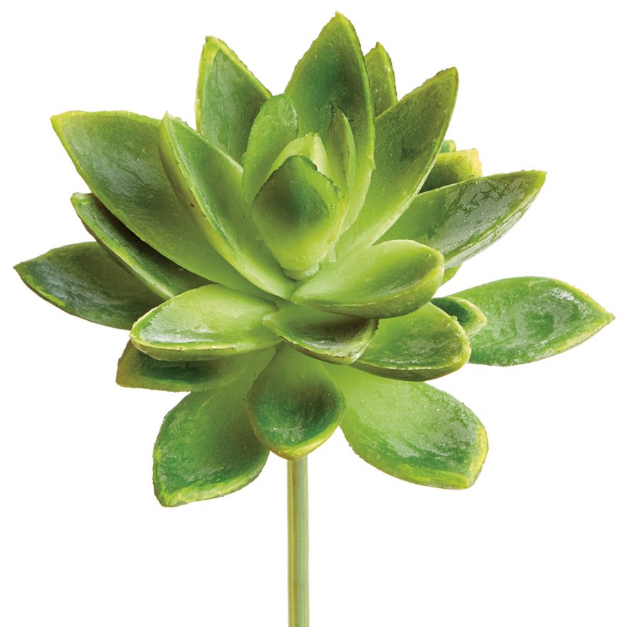 Artificial Mini Agave Plant