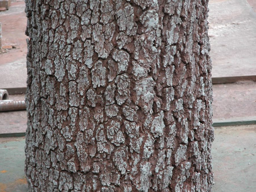Fabricated Oak Tree Column Wrap