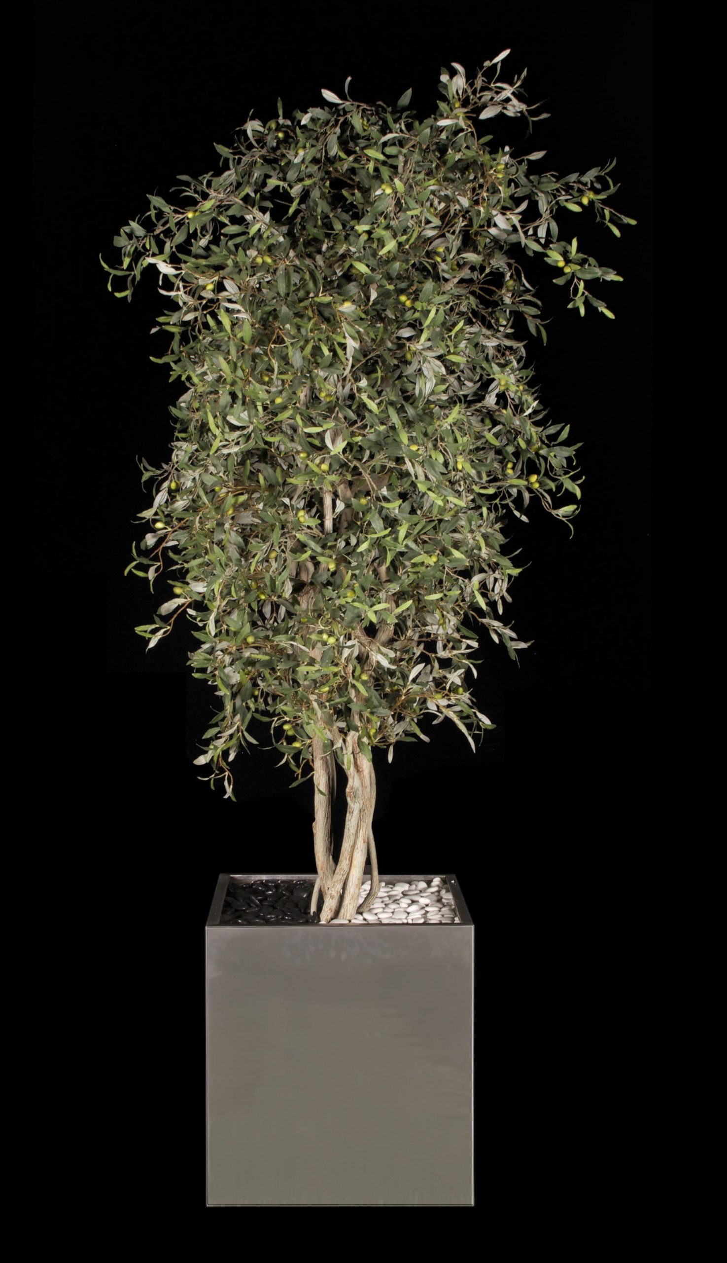 Replicate a real Mediterranean Olive Tree for a grand entry - Make