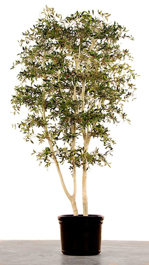 Artificial Mediterranean Olive Tree 