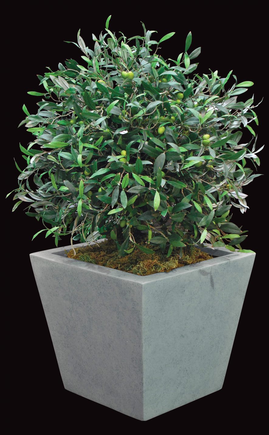 Replica Mediterranean Olive Ball Topiary