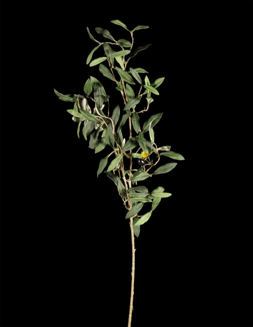 Replica Mediterranean Olive Tree Foliage