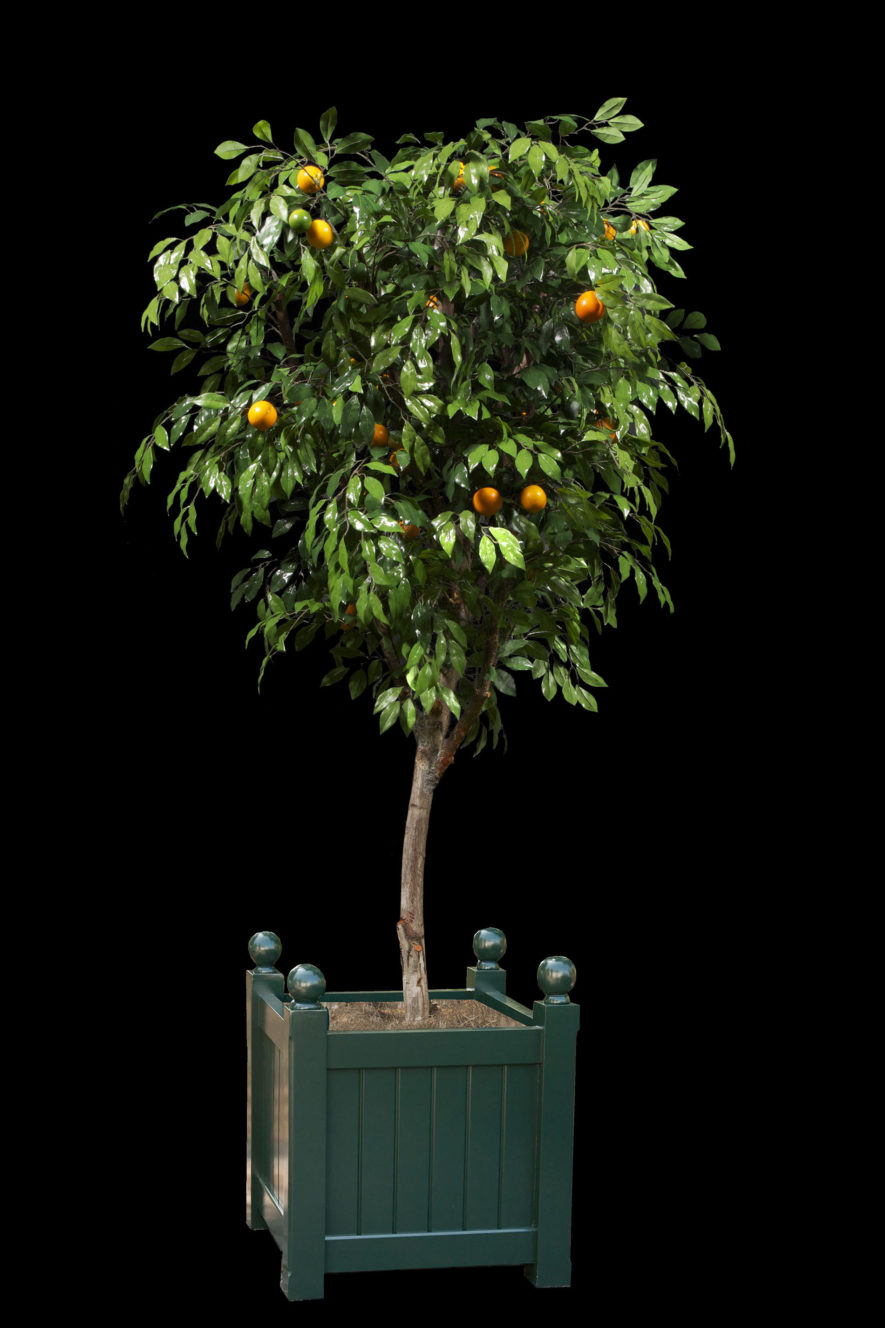 Replica Orange Tree with Natural Wood Bark