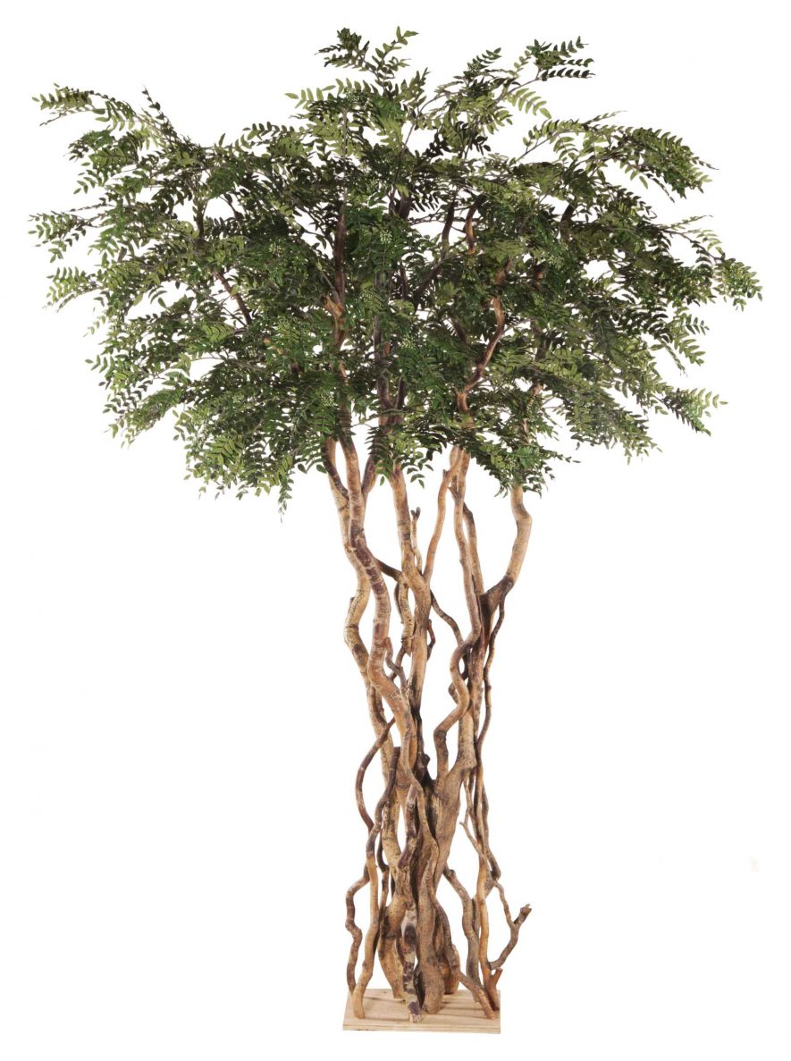 Replica Acacia Tree
