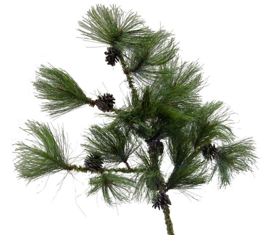 Replica Rocky Mountain Pine Tree Foliage
