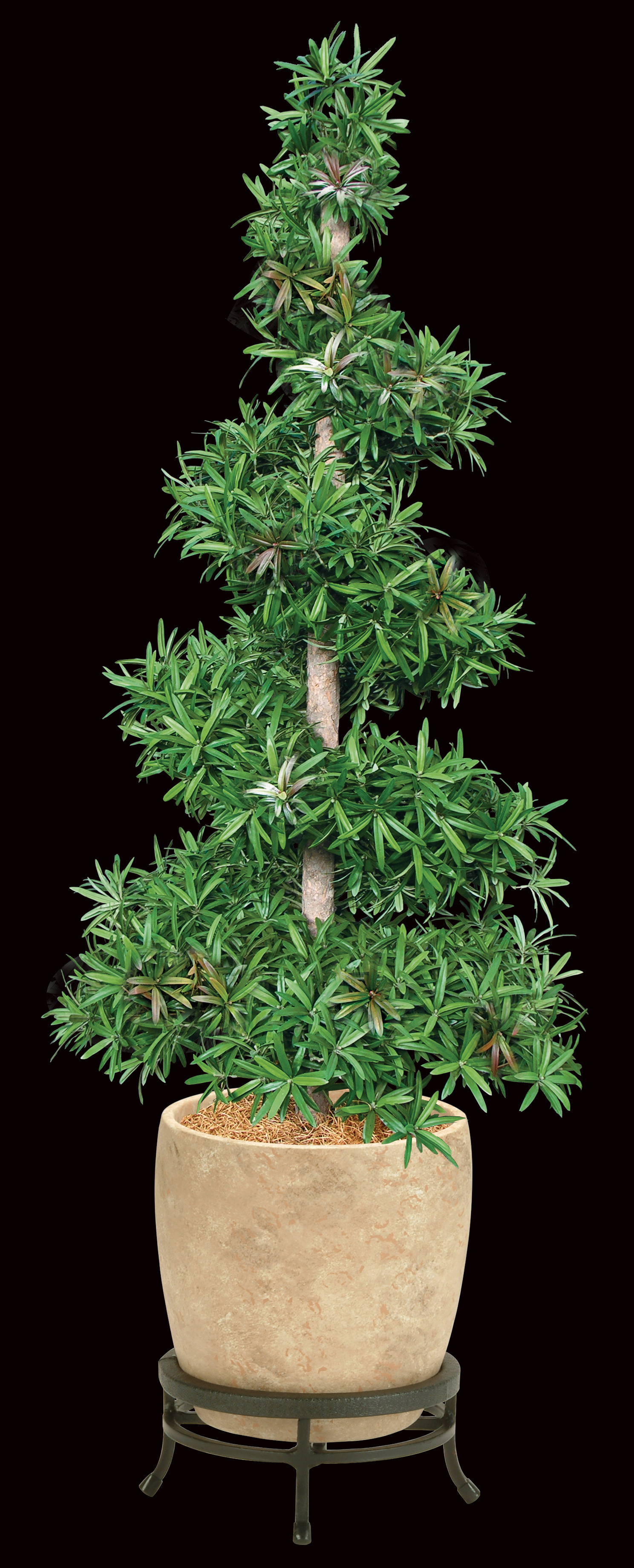 Nearly Natural 4235 Podocarpus Expandable Fence Artificial Plant Green 