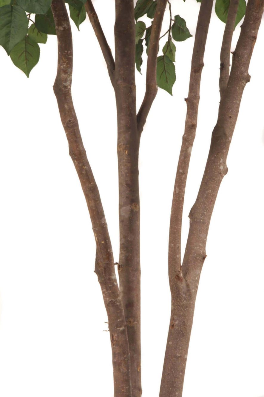 Replica Poplar Tree Bark