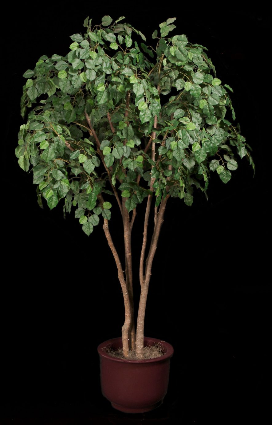 Replica Poplar Tree