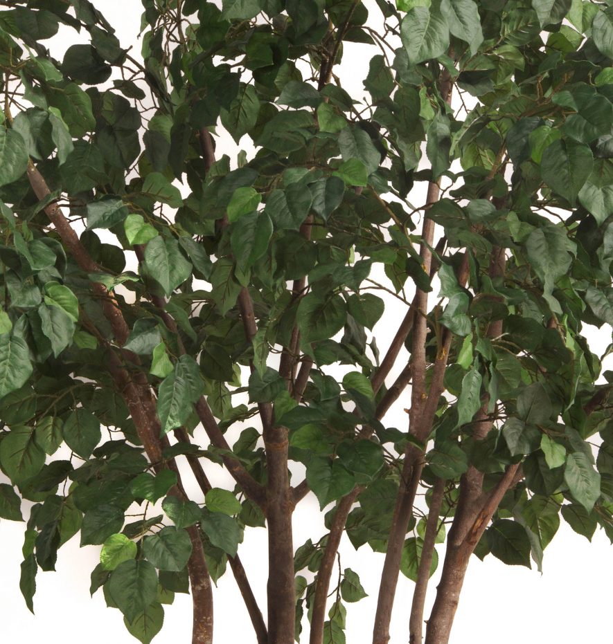 Replica Poplar Tree