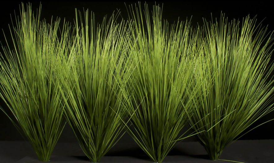 Replica Prairie Grass