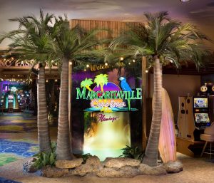 Preserved coconut palm trees margaritaville flamingo casino project a