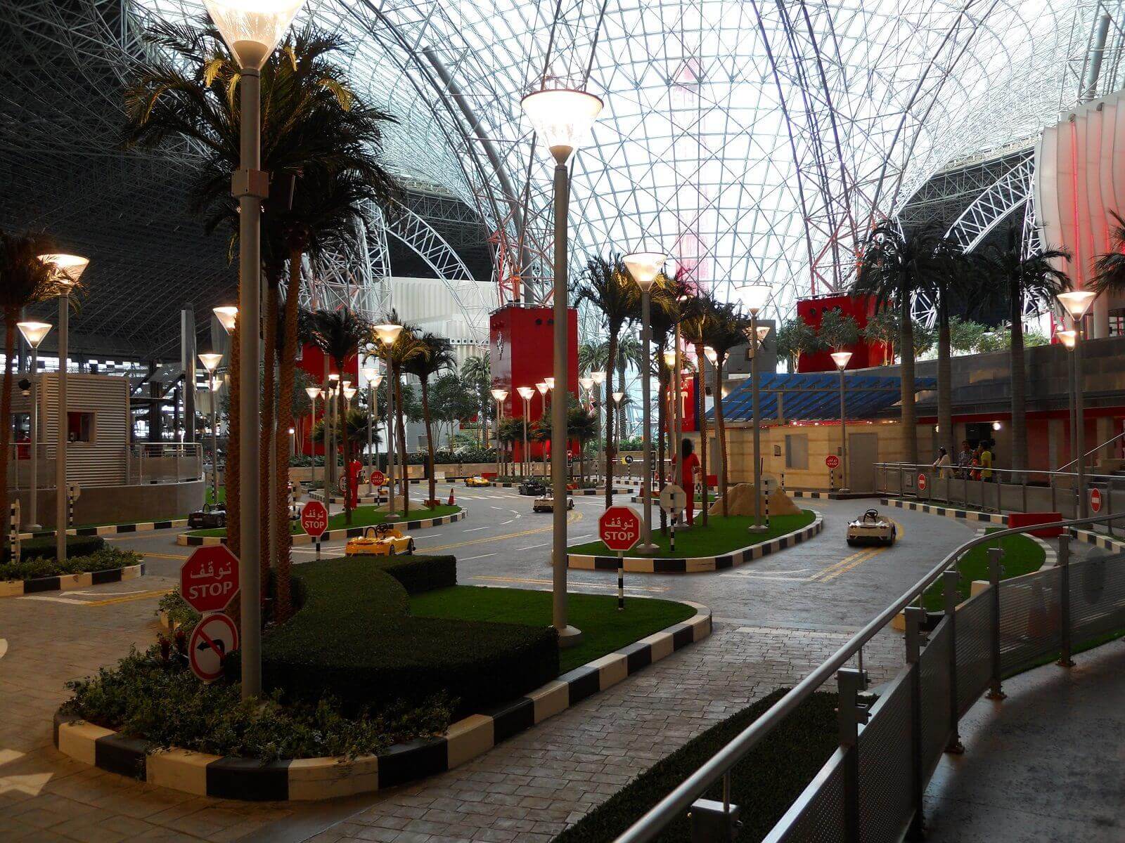 Preserved Phoenix Roebenii Palm Trees at Ferrari World Theme Park