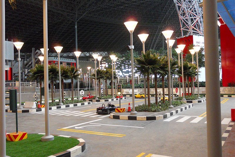 Preserved Washingtonia Robusta Palm Trees at Ferrari World Theme Park