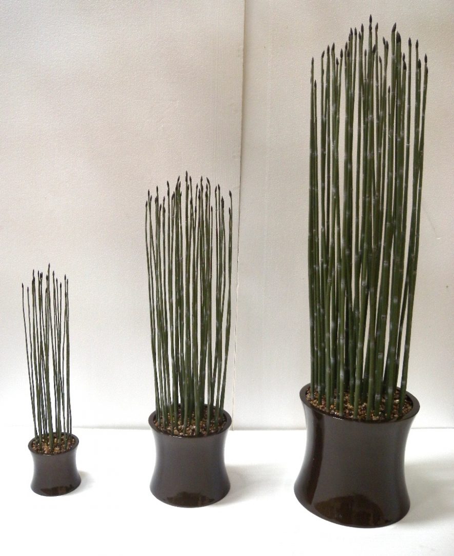 Replica Reed Plants