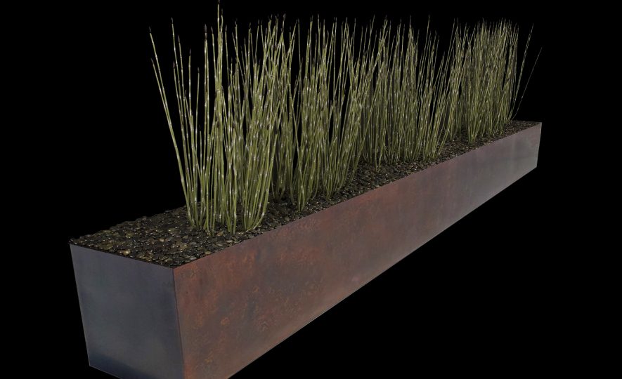 Fabricated Reed in a longg planter