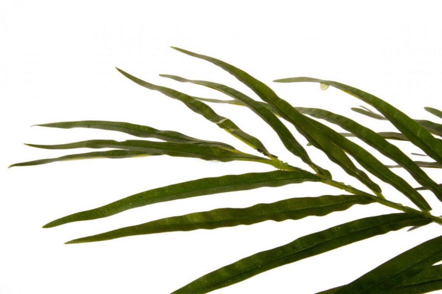 Replica Areca Palm Tree Foliage