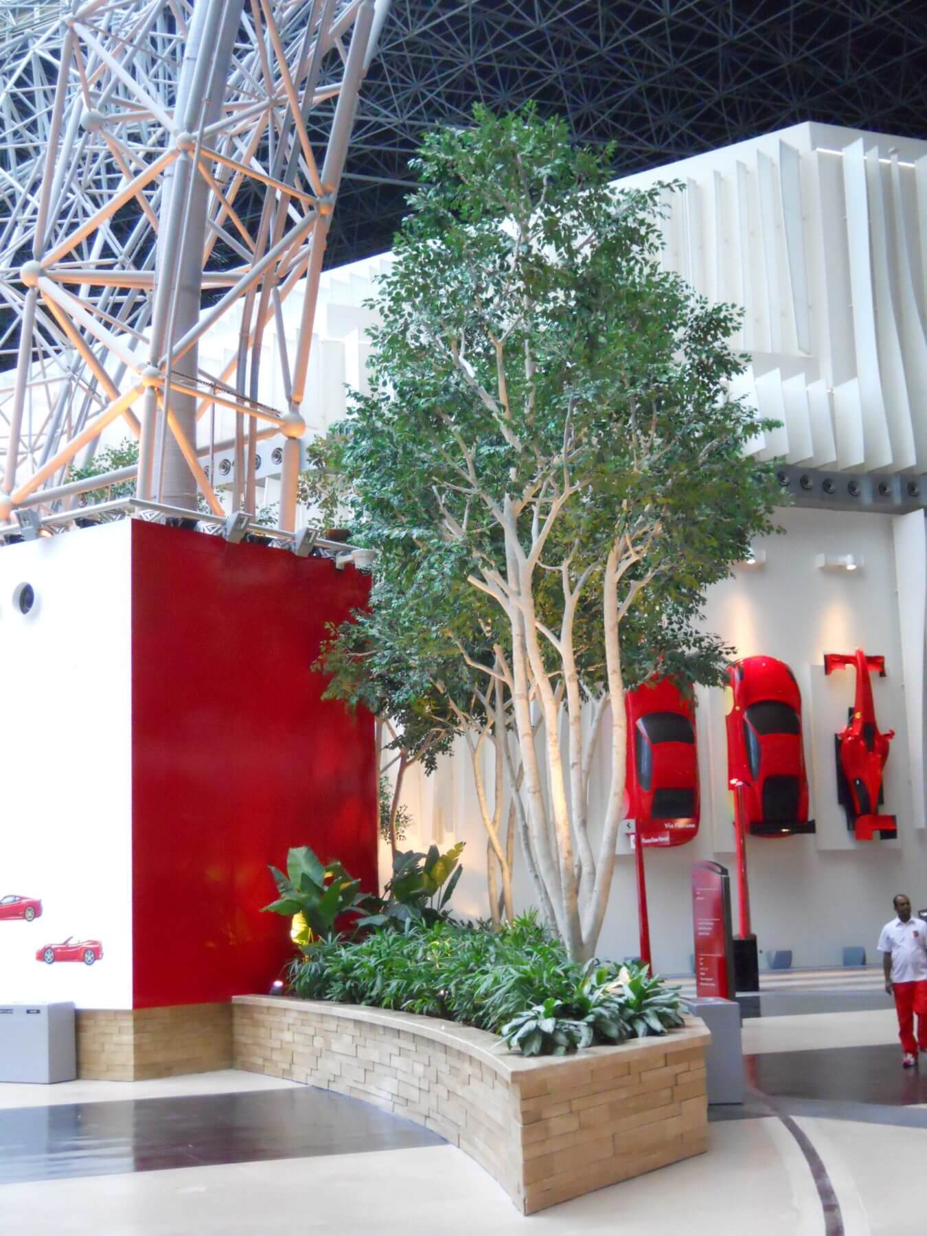 Replica Birch Trees at Ferrari World Theme Park