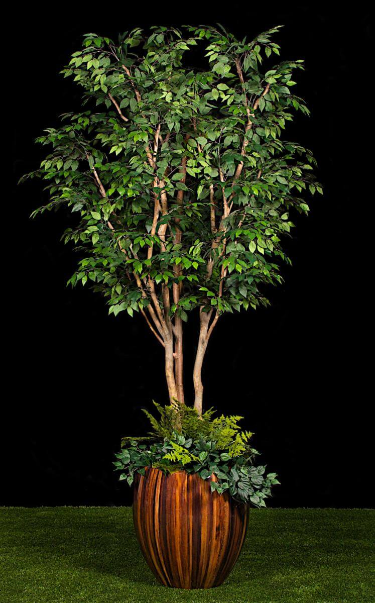 Replica Ficus Benjamina Tree Potted