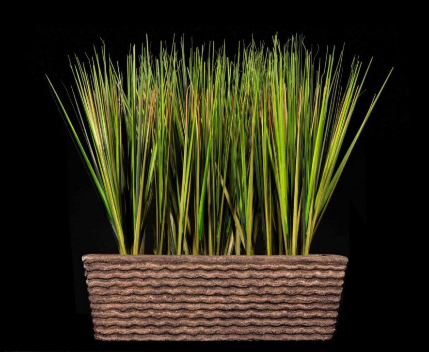 Replica formal grass plant product