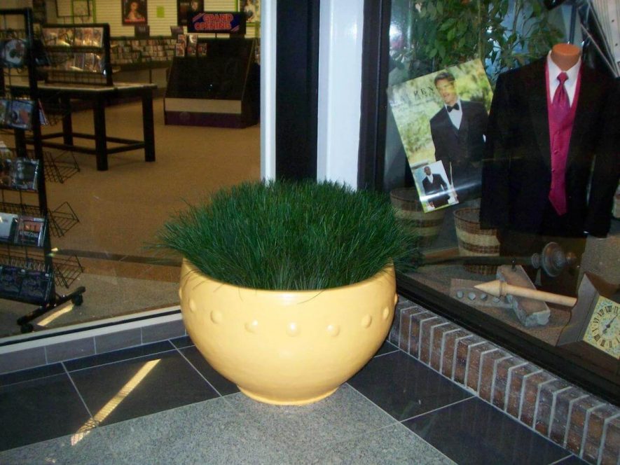 Replica Mondo Grass in a pot