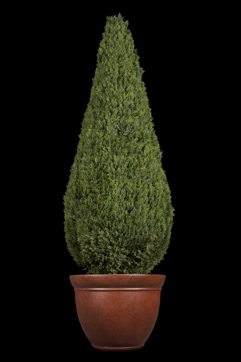 Replica Juniper Cypress Tear Drop Topiary