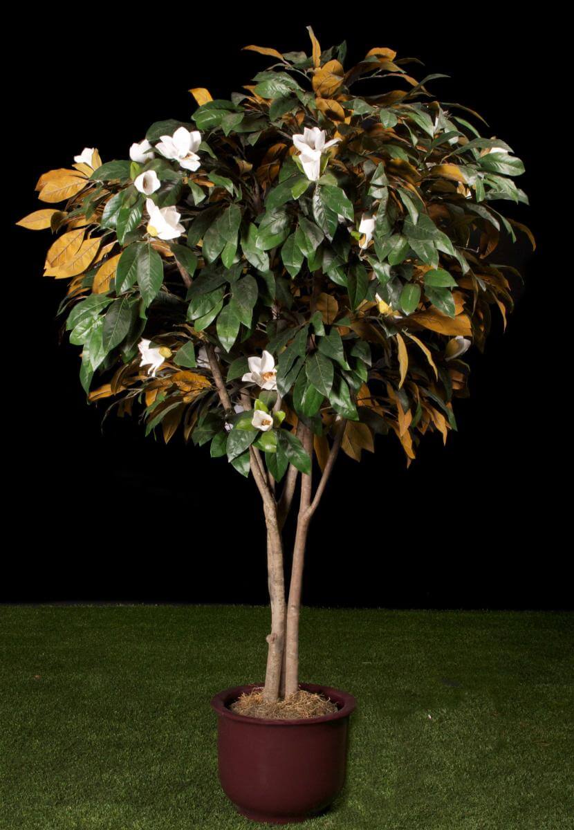 Replica Magnolia Tree in Pot