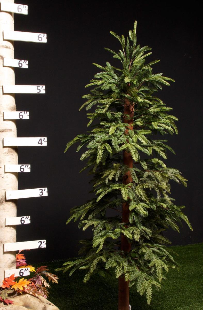 Replica Sequoia Tree Ruler Scale