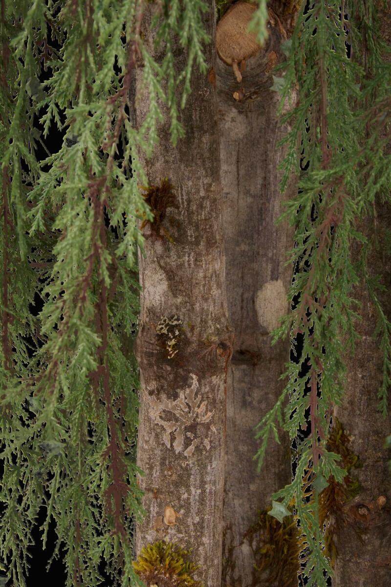 Replica Weeping Juniper Cypress Tree Bark