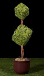 Artificial Boxwood Topiary | TreeScapes & PlantWorks