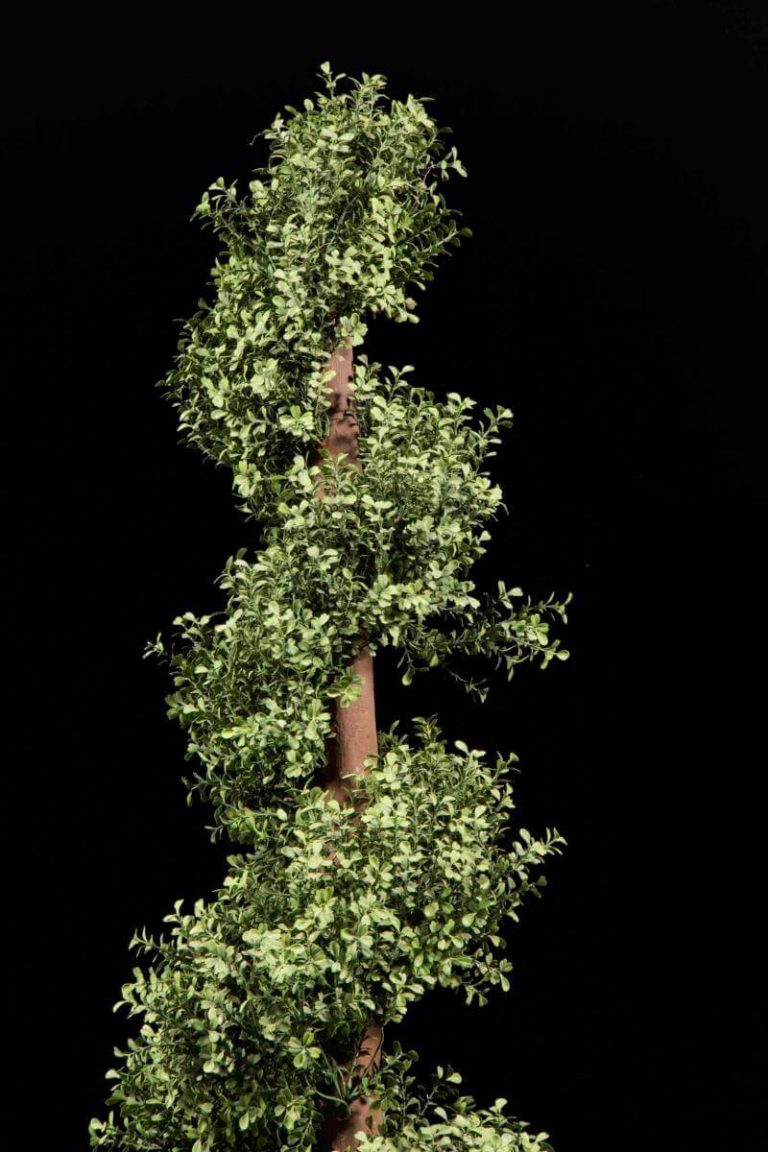 Artificial Boxwood Topiary | TreeScapes & PlantWorks