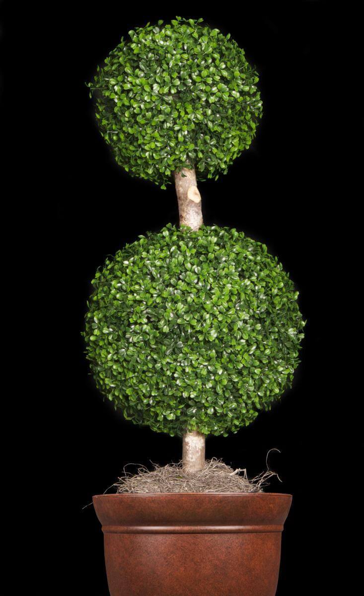 Artificial boxwood topiary