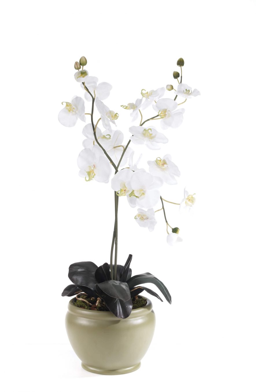 Replica phaleonopsis orchid flower arrangement scaled