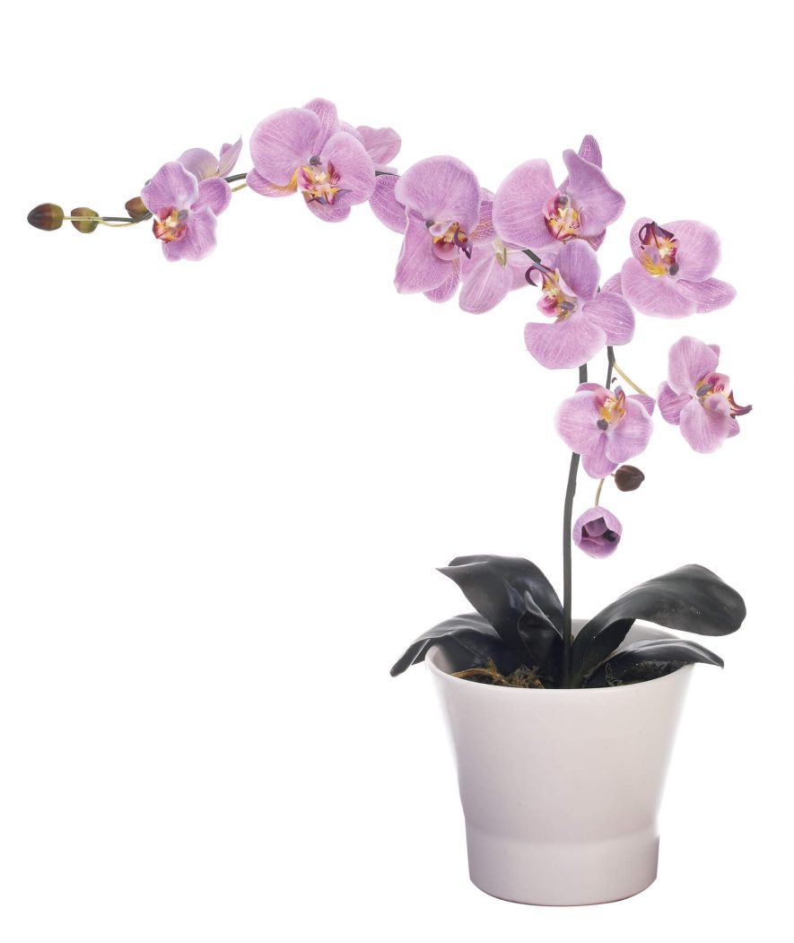 Replica phaleonopsis orchid flower lavender arrangement