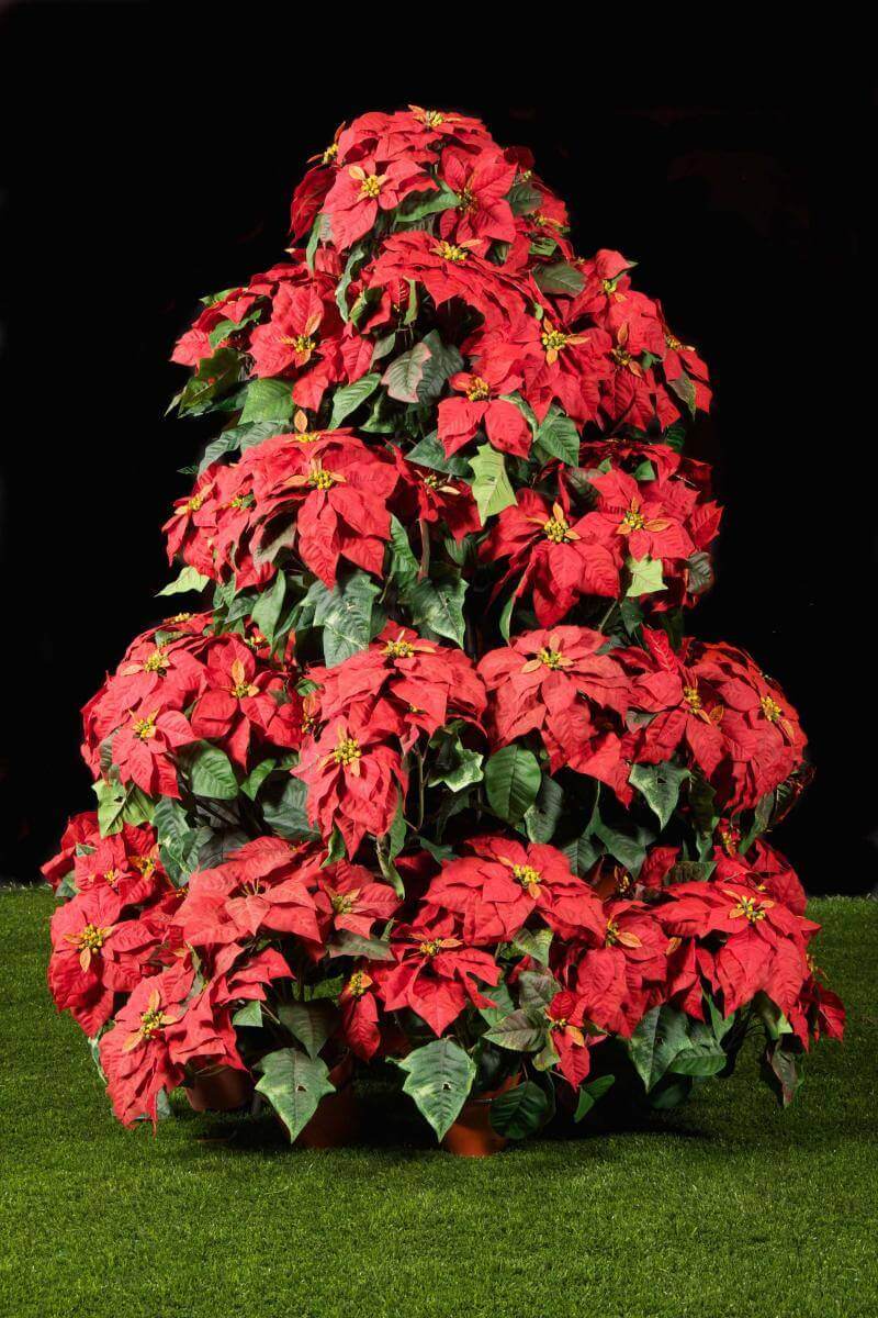 1/2PCS 7-Heads Real Touch-Flannel Artificials Christmas Flower Poinsettia Bushes 