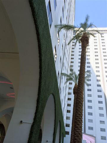 Tall picture of a palm tree at the SLS Las Vegas