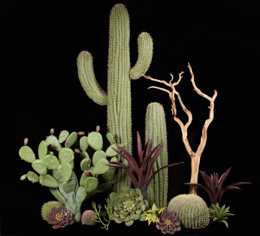 Fabricated Cactus Plants and Succulents