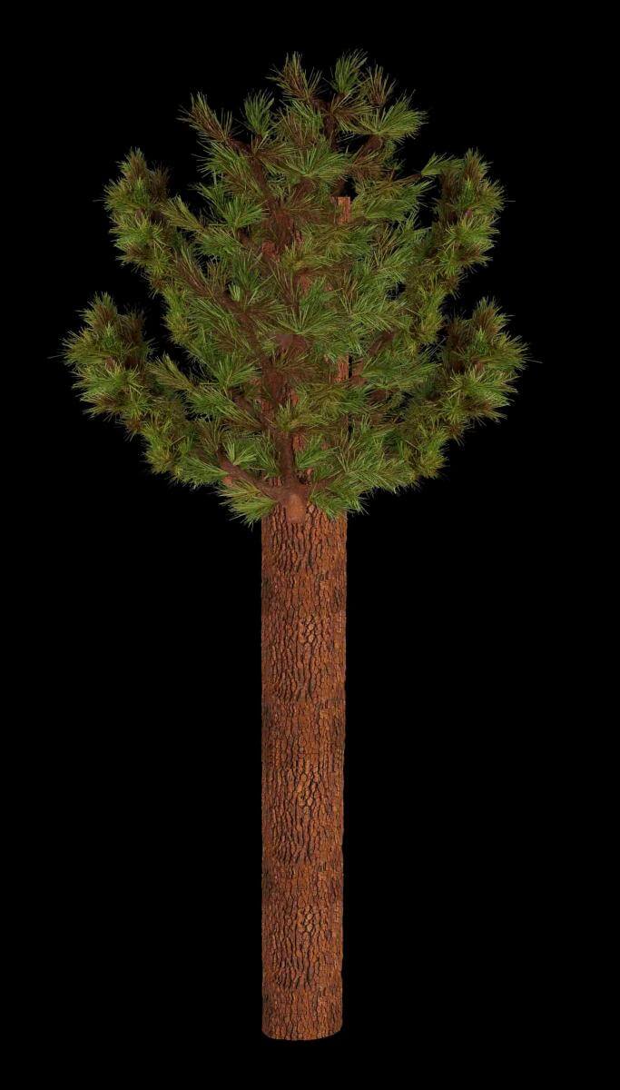 TreeTrunks™ Collared Pine Concealment Column Wrap