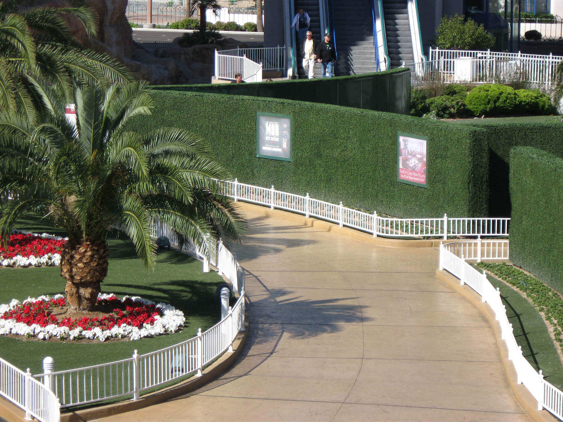 Hedges and palm trees at the tropicana