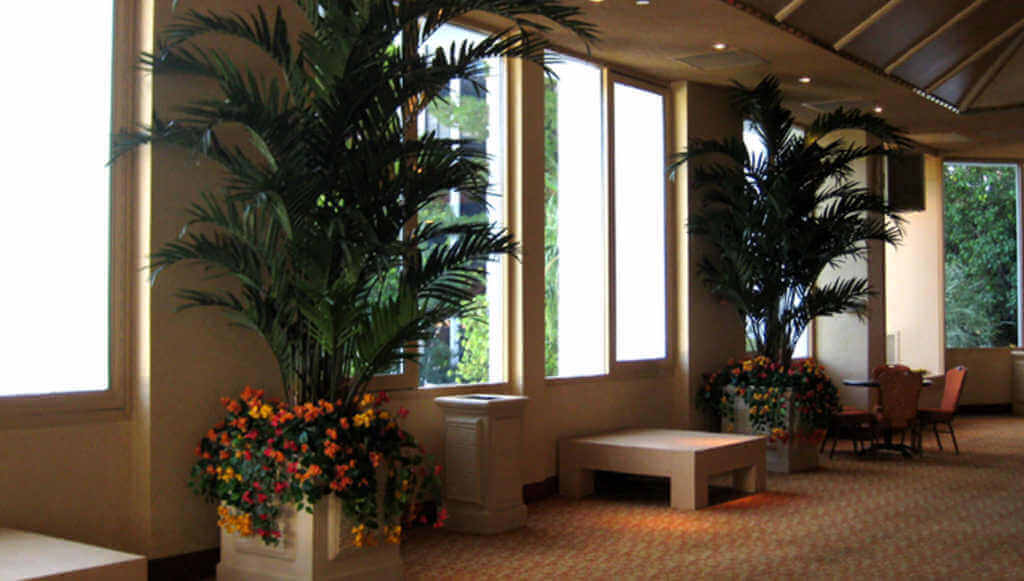 Palm trees and bamboo inside the tropicana