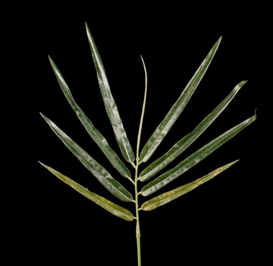 Weeping green bamboo foliage replica close up product