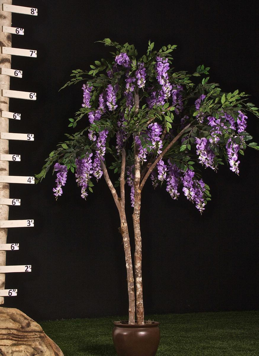 Replica Black Dragon Purple Wisteria Tree