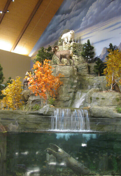 Natural habitat trees and plants at cabela's stores waterfall